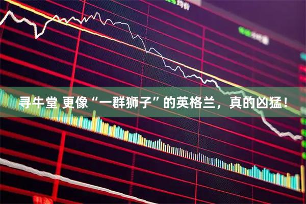 寻牛堂 更像“一群狮子”的英格兰,真的凶猛!
