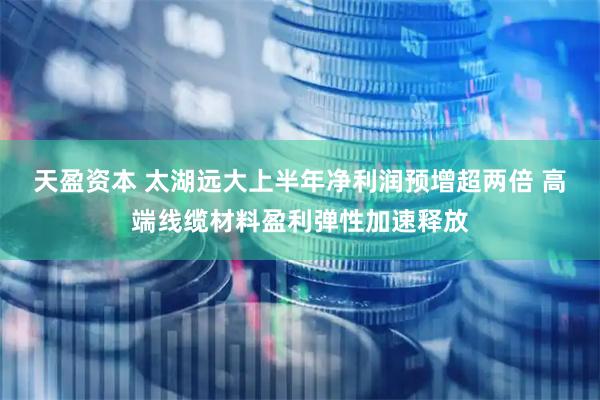 天盈资本 太湖远大上半年净利润预增超两倍 高端线缆材料盈利弹性加速释放